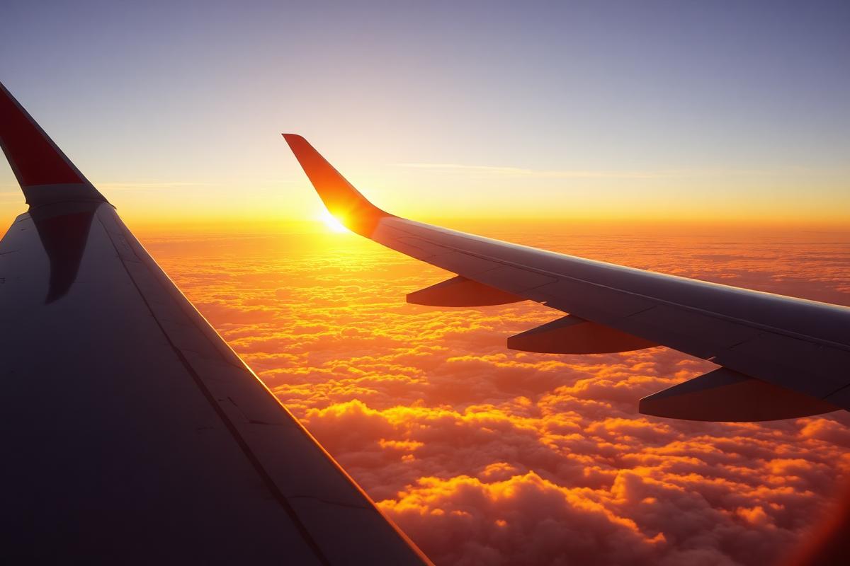 Flights